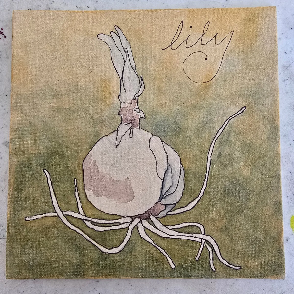 Don't Eat Lily — watercolor painting of a lily bulb on green-gold ground